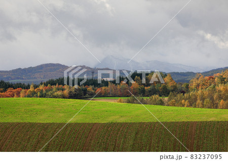 【北海道美瑛町】紅葉が美しい丘の風景　10月 83237095