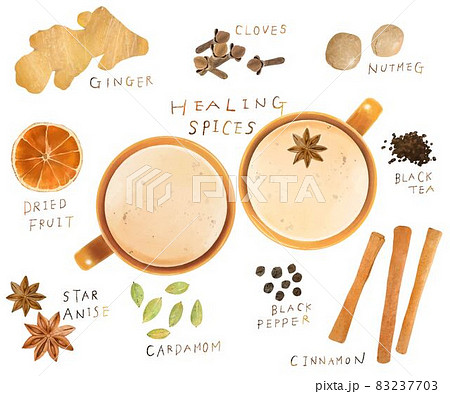 健康美肌薬膳のティー 木の実や生姜 ドライフルーツなどヘルシーなスパイスの種類のベクター素材のイラスト素材
