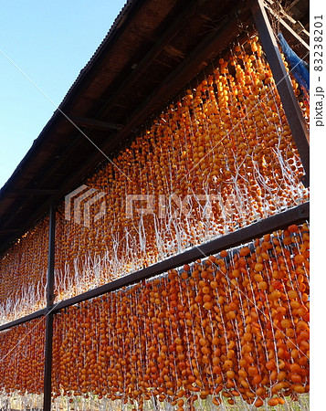 干し柿 ほしがき 柿 柿のれん 83238201