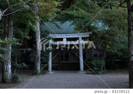 薄暗い神社2 薄暗い神社2 83238522