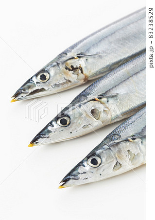 秋刀魚 秋刀魚 83238529