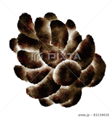 松ぼっくり 83238626