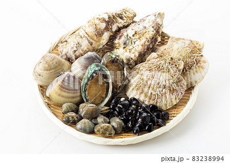 貝類集合 83238994