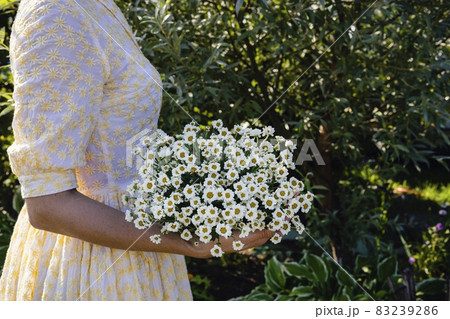 A young woman in a light dress holds a bouquet of wildflowers. Beauty in nature. Side view. Copy space A young woman in a light dress holds a bouquet of wildflowers. Beauty in nature. Side view. Copy space 83239286