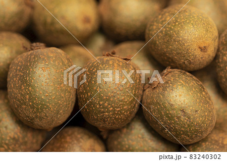 シマサルナシ 83240302