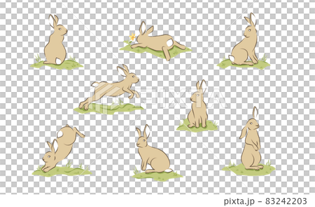 イラスト素材　うさぎの色々なポーズ　バリエーションセット 83242203
