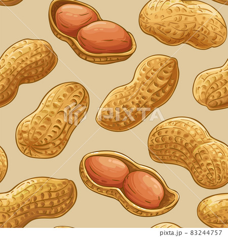 peanut vector pattern on color background peanut vector pattern on color background 83244757