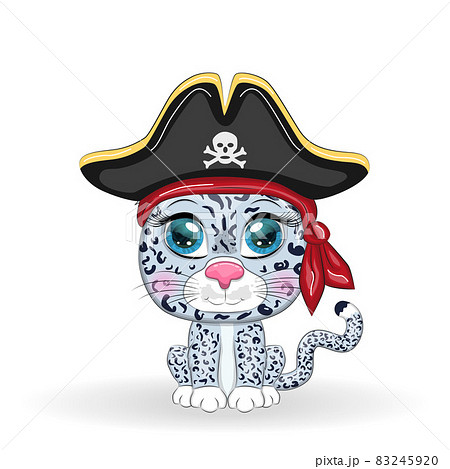 Snow Leopard Pirate Cartoon Character Of The のイラスト素材 2459