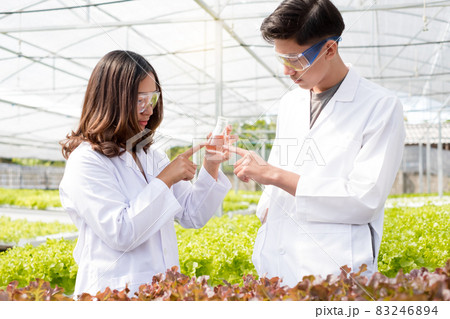 Hydroponics, two Asian scientists, tested the standards and collected chemical data of the organic vegetables grown using hydroponics in the nursery Hydroponics, two Asian scientists, tested the standards and collected chemical data of the organic vegetables grown using hydroponics in the nursery 83246894