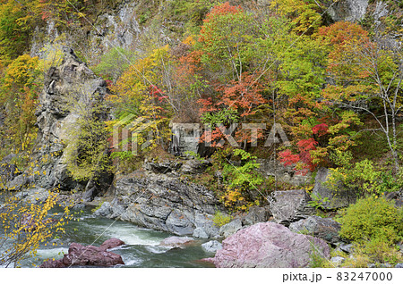 見頃を迎えた赤岩青巌峡の紅葉（北海道 占冠） 83247000