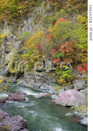 見頃を迎えた赤岩青巌峡の紅葉（北海道 占冠） 83247001