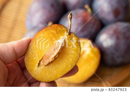 生果のプルーン断面 男性の手 (10月) 生果のプルーン断面 男性の手 (10月) 83247923