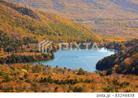 栃木県日光市湯元　高台からの紅葉の奥日光湯ノ湖 83248838