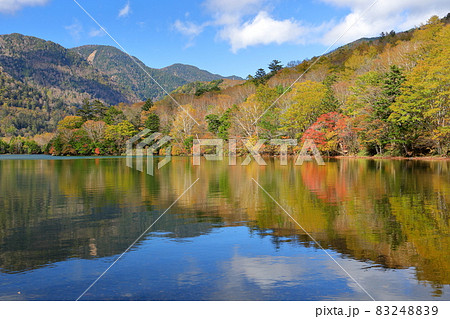 栃木県日光市湯元　奥日光湯ノ湖湖畔の紅葉と湖面の水鏡 83248839