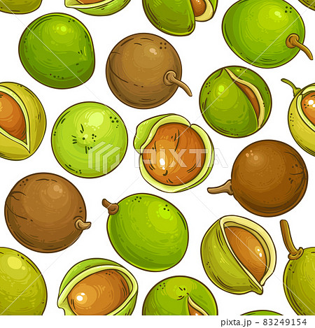 mongongo vector pattern on white background 83249154