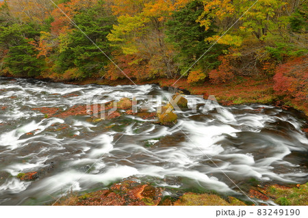 栃木県日光市中宮祠 奥日光の渓流瀑竜頭の滝上流の紅葉 栃木県日光市中宮祠 奥日光の渓流瀑竜頭の滝上流の紅葉 83249190