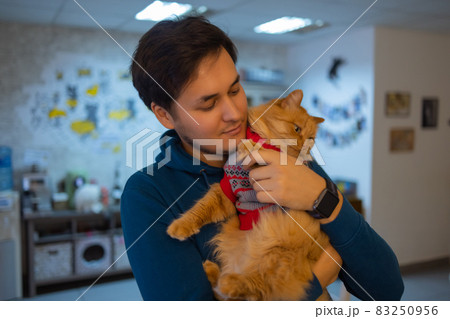 Cute cat in Santa Claus hat against blurred Christmas lights. Cute cat in Santa Claus hat against blurred Christmas lights. 83250956
