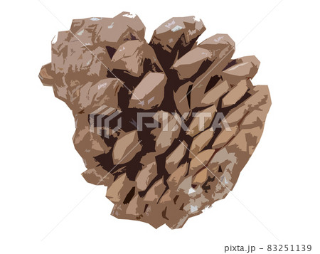 松ぼっくりの切り抜きイラストのイラスト素材 松ぼっくりの切り抜きイラストのイラスト素材