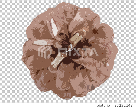 Cutout illustration of pine cones Cutout illustration of pine cones 83251148