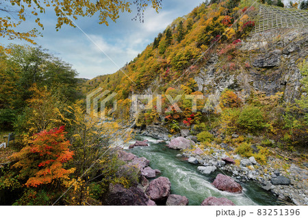 見頃を迎えた赤岩青巌峡の紅葉（北海道 占冠） 83251396