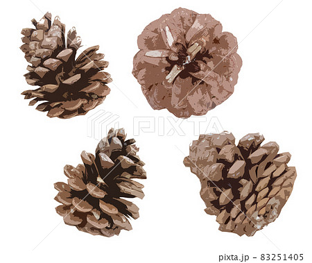 松ぼっくりの切り抜きイラストセットのイラスト素材