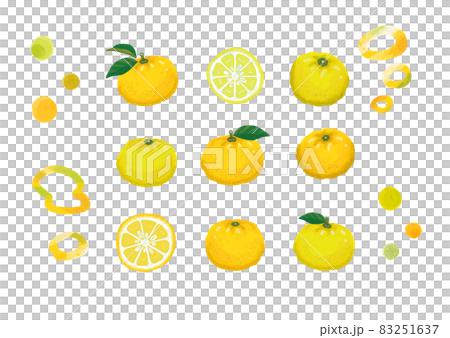 Refreshing hand-painted Yuzu design illustration (single set) Refreshing hand-painted Yuzu design illustration (single set) 83251637