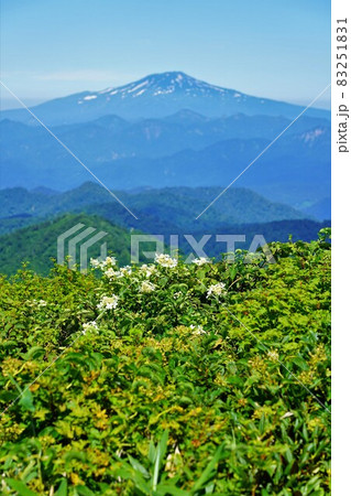 神室山からの鳥海山 神室山からの鳥海山 83251831