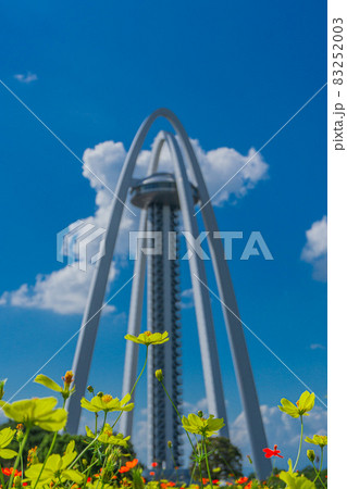 木曽三川公園138タワーパークと秋桜畑 83252003