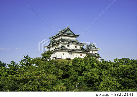 和歌山城 天守閣 和歌山県和歌山市 和歌山城 天守閣 和歌山県和歌山市 83252141