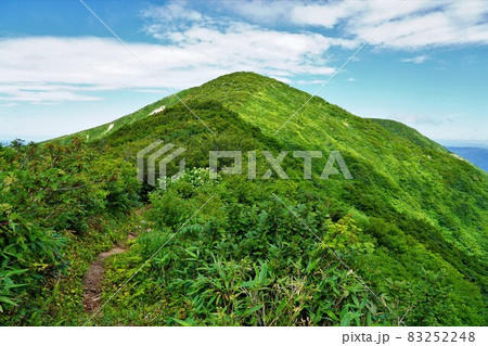 神室山から前神室山への稜線と登山道 83252248