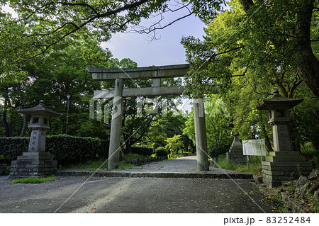 和歌山城　和歌山県護国神社　鳥居　和歌山県和歌山市 83252484