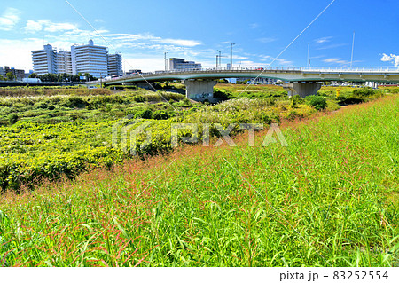 新横浜大橋付近より横浜労災病院方面を望む(神奈川県横浜市)【2021.10】 83252554