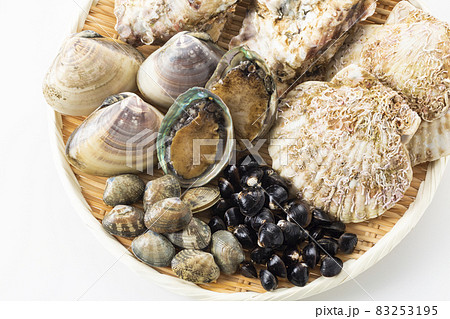 貝類集合 貝類集合 83253195