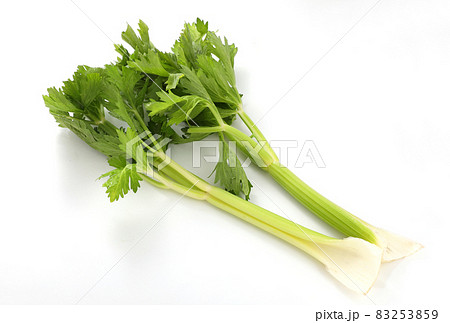 セロリ 83253859