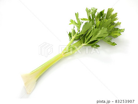 セロリ セロリ 83253907