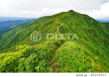 神室山頂への稜線と登山道 83255017