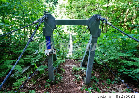 神室山西ノ又コースのつり橋 神室山西ノ又コースのつり橋 83255031