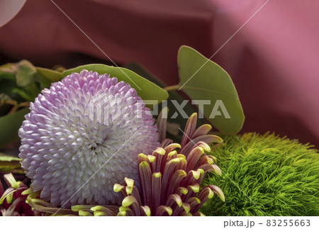 multicolored plant composition, natural flower background, copy space, pattern, wallpaper, card, invitation multicolored plant composition, natural flower background, copy space, pattern, wallpaper, card, invitation 83255663