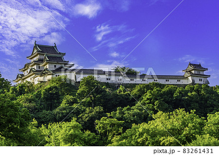 和歌山城　天守閣　和歌山県和歌山市 83261431