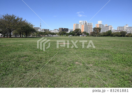 東京都立大島小松川公園 東京都立大島小松川公園 83261881