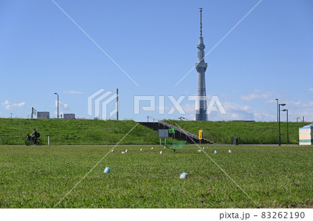 ターゲットバードゴルフ ターゲットバードゴルフ 83262190