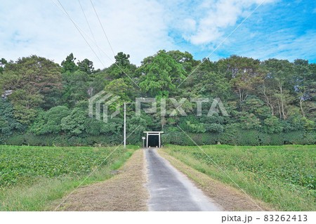 【神麻続機殿神社】三重県松阪市井口中町 83262413