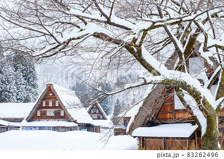 菅沼合掌造り集落（冬） 83262496