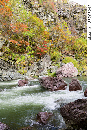 見頃を迎えた赤岩青巌峡の紅葉（北海道 占冠） 83263045