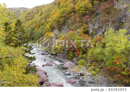 見頃を迎えた赤岩青巌峡の紅葉(北海道 占冠) 見頃を迎えた赤岩青巌峡の紅葉(北海道 占冠) 83263055