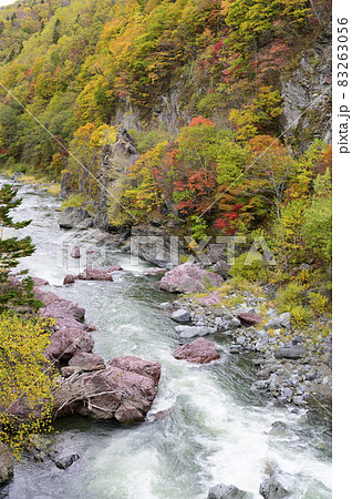 見頃を迎えた赤岩青巌峡の紅葉(北海道 占冠) 見頃を迎えた赤岩青巌峡の紅葉(北海道 占冠) 83263056