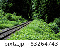 夏の房総半島 いすみ鉄道 83264743