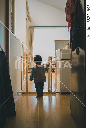 1 year old 1 year old 83264998