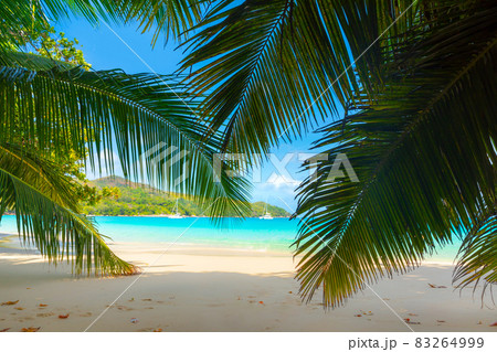 Anse Lazio - the most beautiful beach of Seychelles. Praslin, Seychelles 83264999