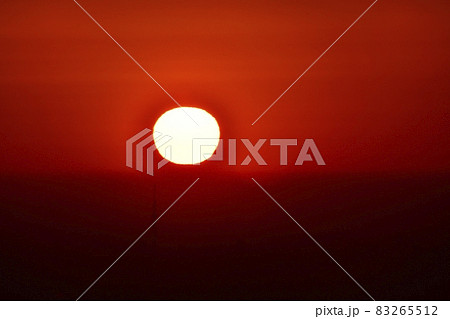 奥武蔵の山・関八州見晴台からスカイツリーと日の出 奥武蔵の山・関八州見晴台からスカイツリーと日の出 83265512